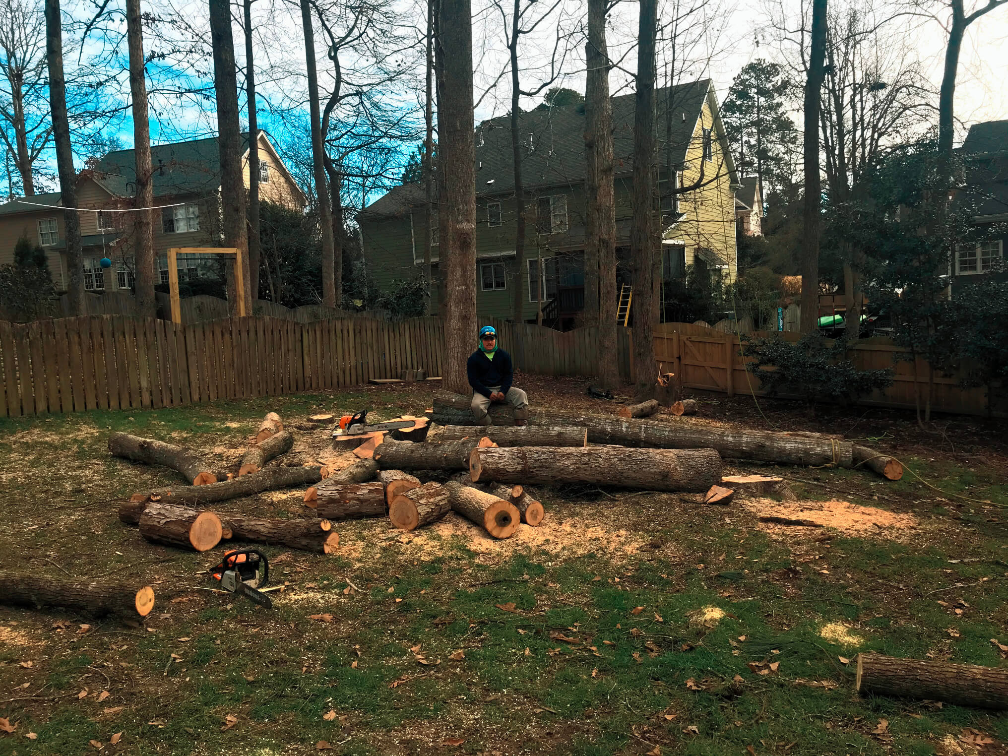 Chopping Trees