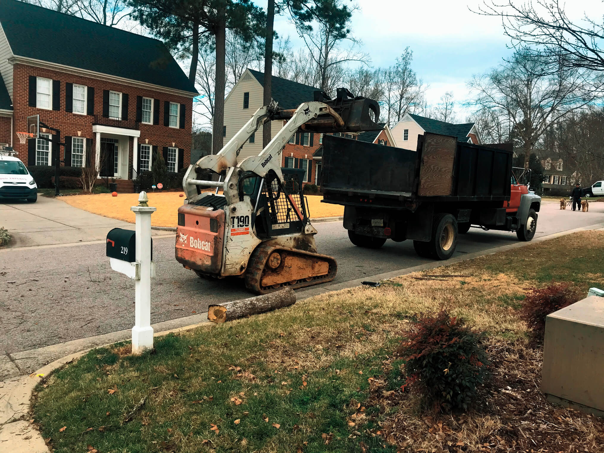 Cary tree service working